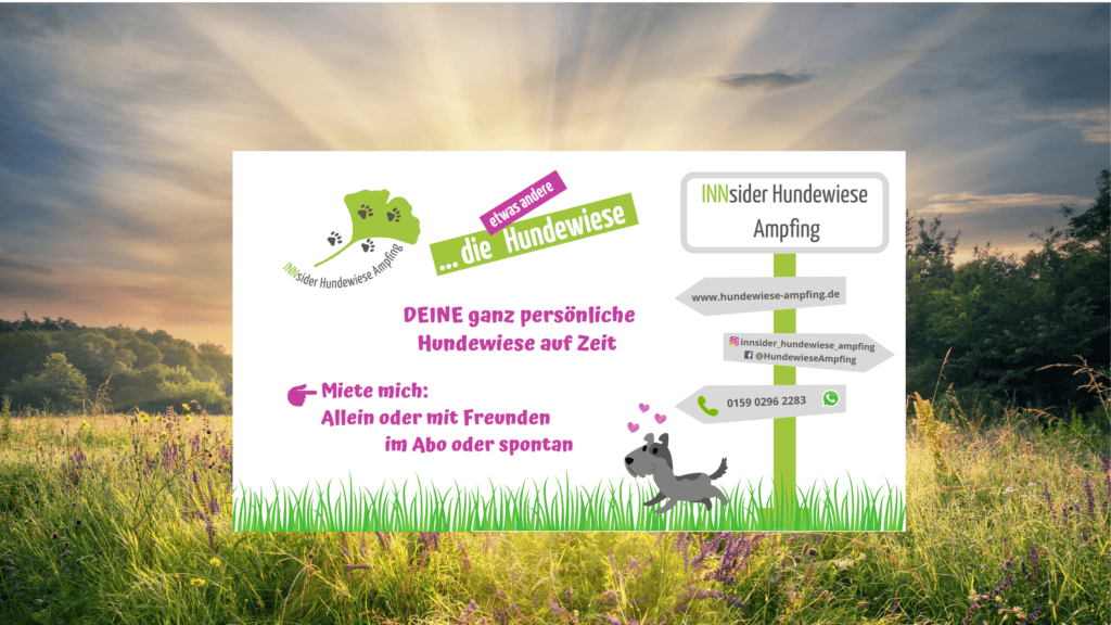 Hundewiesen Story