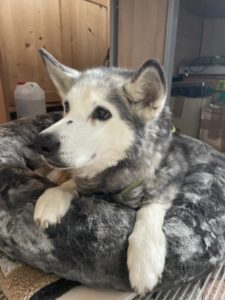 Nelly darf daheim bleiben