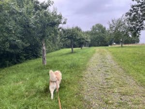 Rast unterwegs
