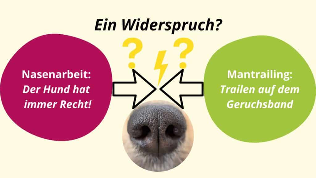 Der Hund hat immer recht in der Nasenarbeit. Das ist kein Widerspruch zum Trailen auf dem Geruchsband beim Mantrailing. Nasenarbeit Mantrailing