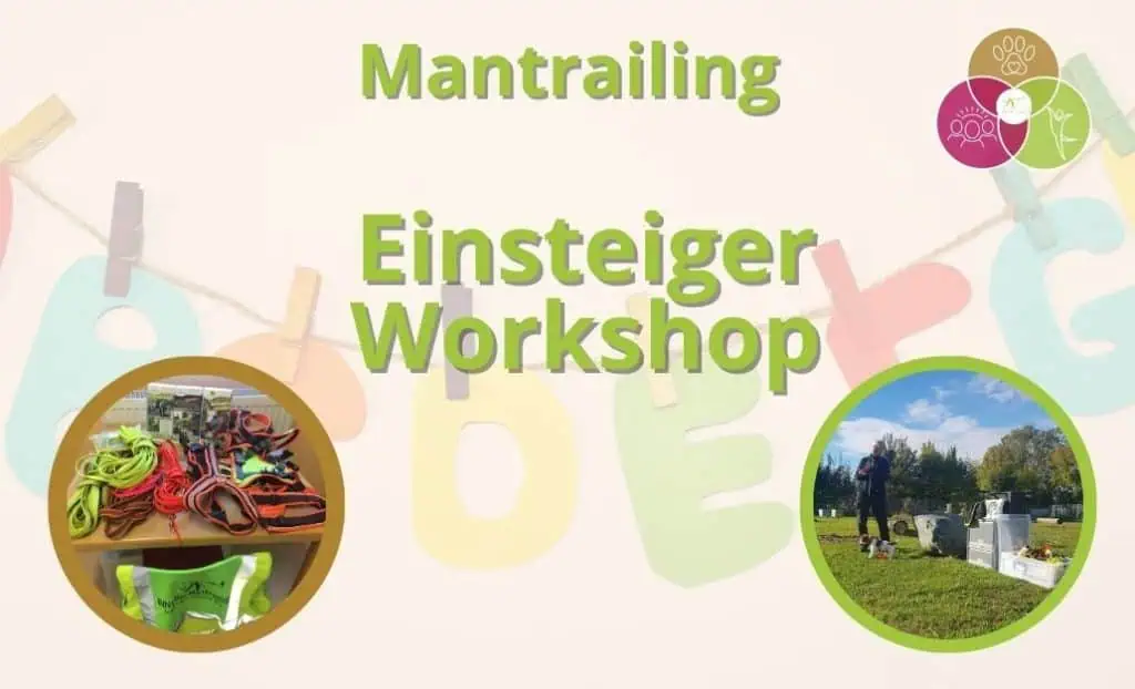 Online Einsteiger Workshop fürs Mantrailing. Damit Du optimal vorbereitet mit dem Mantrailing anfangen kannst. Mantrailing in Oberbayern Mühldorf am Inn
