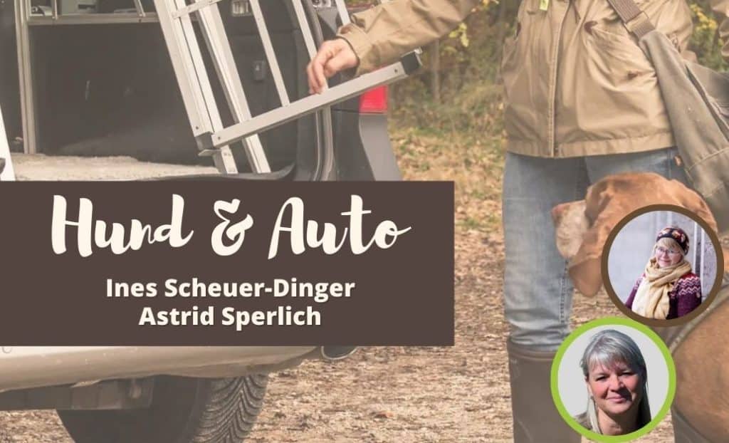 Hund und Atuo - ein Online workshop. Mit dem Hund entspannt ins Auto einsteigen, fahren und relaxed ankommen. Mantrailing und Auto. Mit Ines Scheuer-Dinger