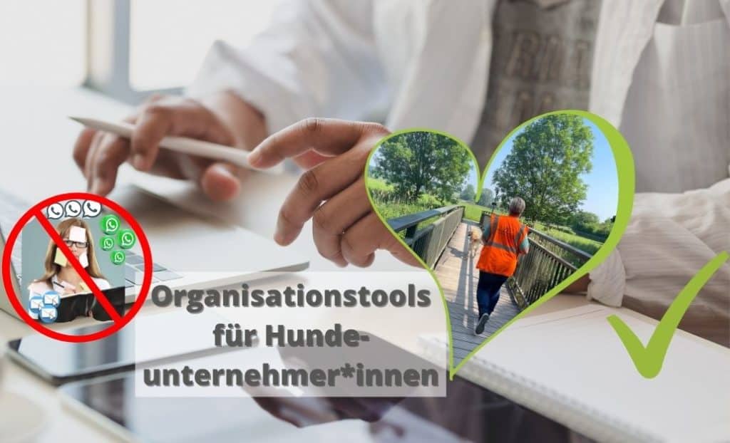 Organisationstools für Hundetrainerinnen - Wie Dir Trello - SuperSaaS und weitere Zeit sparen und Dir die Arbeit erleichtern.