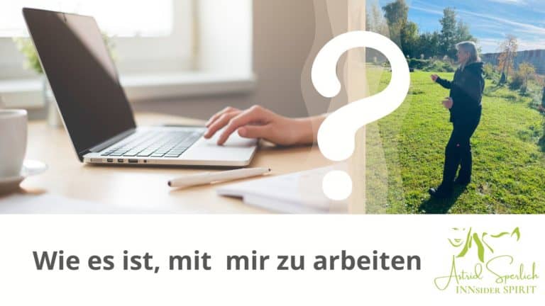 Wie es ist, mir mir zu arbeiten. Mantrailing Mentoring, SuperSaaS Service, Werte im Hundetraining