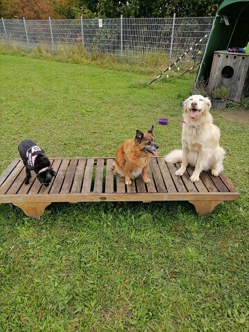  Sonja und Thomas mit Yano, Benjamin und Kyra