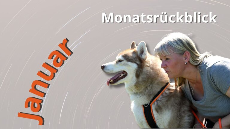 Monatsrückblick Januar Astrid Sperlich und Husky Calimero