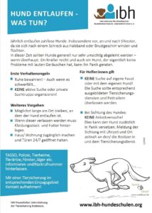 IBH Hund entlaufen