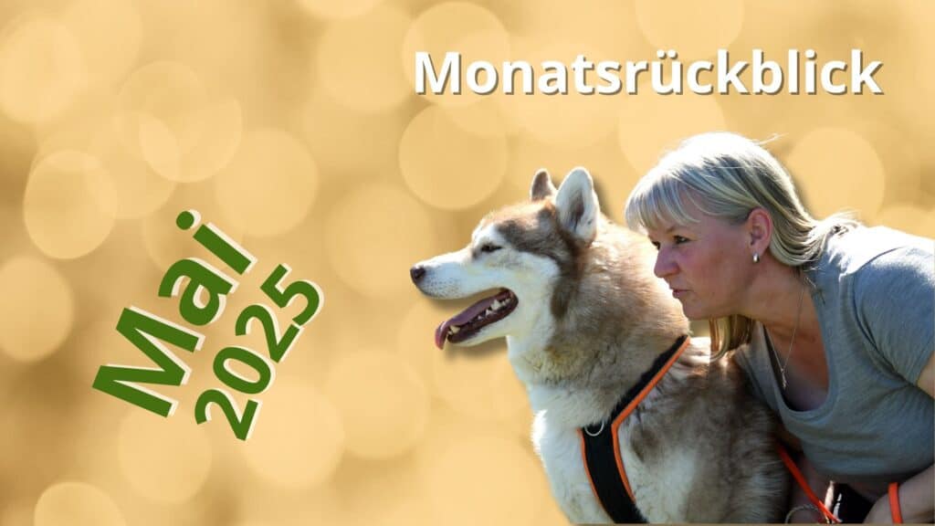 Monatsrückblick mai 2025 Astrid Sperlich Mantrailing und Hundewiese