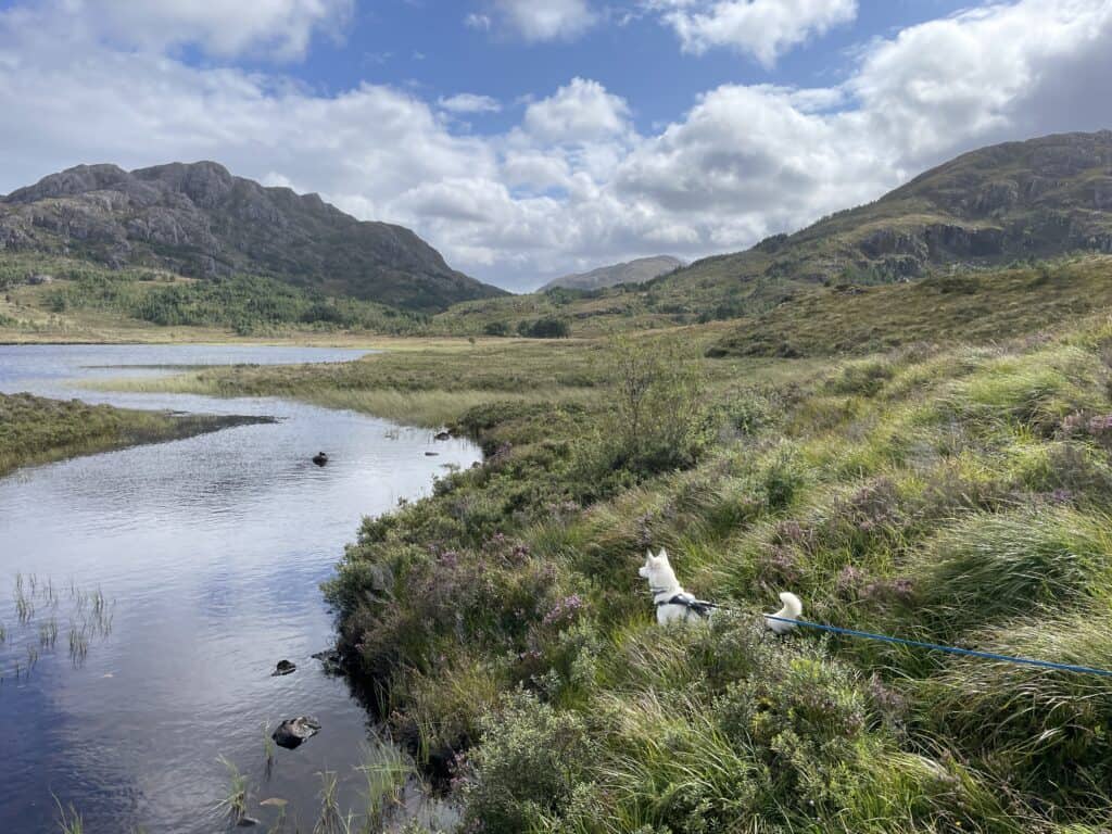 Natur bei Gairloch in Wester Ross – Ruhe, Naturverbundenheit und gemeinsames Unterwegssein