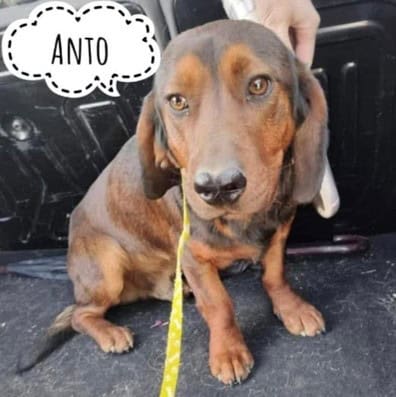 06.02.2023, Anto direkt nach der Sicherung