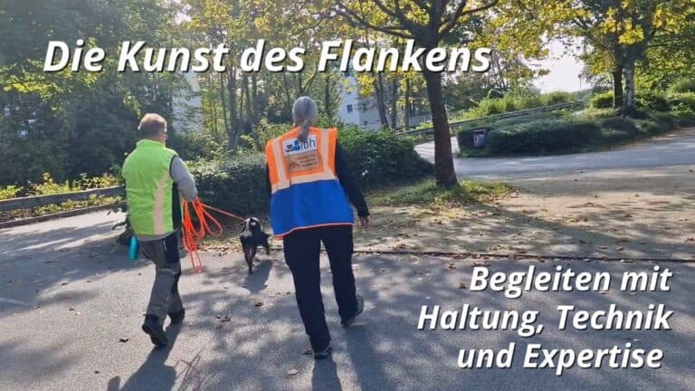 Mantrailing Trainerin Astrid Sperlich beim Flanken eines Mensch-Hund-Teams beim Mantrailing; professionelle Begleitung mit klarer Haltung, Technik und Expertise.