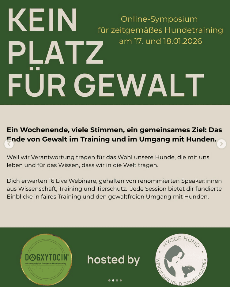 Kein Platz für Gewalt 2