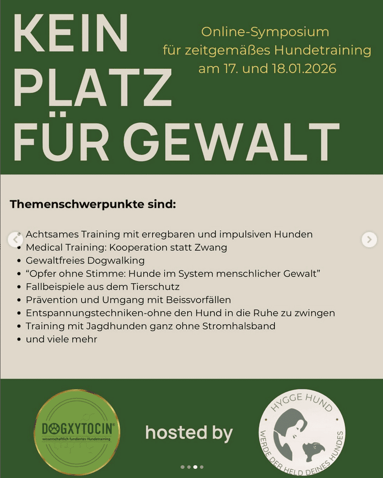 Kein Platz für Gewalt 3