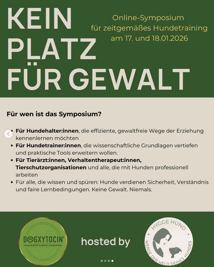 Kein Platz für Gewalt 4