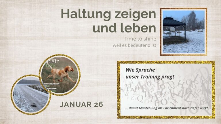 Titelbild Blogrückblick Januar 2026: Haltung zeigen und leben – verschneite Hundewiese, vereister Weg und Blogthema „Wie Sprache unser Training prägt“