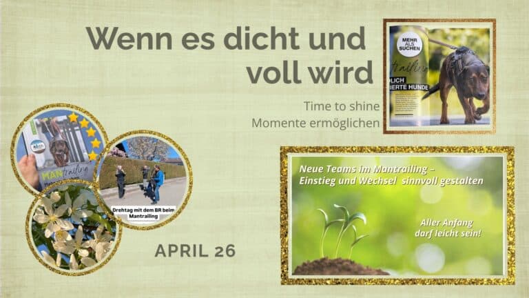 Titelbild Monatsrückblick April 2026 mit Mantrailing, Buch, BR-Dreh und Frühling auf der Hundewiese