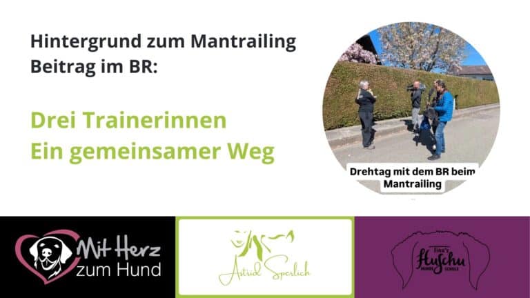 Titelbild zu einem Blogartikel über die Hintergründe eines BR-Mantrailing-Beitrags. Links steht der Text „Hintergrund zum Mantrailing Beitrag im BR: Drei Trainerinnen – ein gemeinsamer Weg“ in schwarzer und grüner Schrift auf hellem Hintergrund. Rechts oben ist ein rundes Foto von einem Drehtag mit Kamerateam und zwei Trainerinnen beim Mantrailing im Wohngebiet zu sehen. Im Bild steht „Drehtag mit dem BR beim Mantrailing“. Unten sind die Logos der drei beteiligten Hundeschulen und Trainerinnen abgebildet: „Mit Herz zum Hund“, „Astrid Sperlich“ und „TinasHuSchu“.