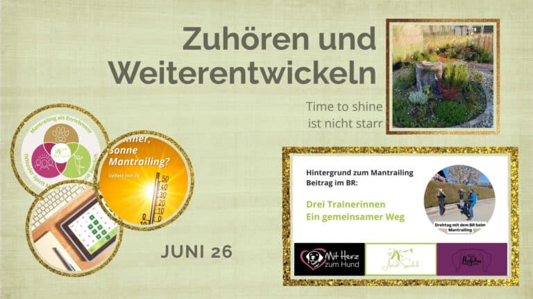 Collage zum Monatsrückblick Juni 2026 mit den Themen Hitze, BR-Beitrag, Membership und Hundewiese