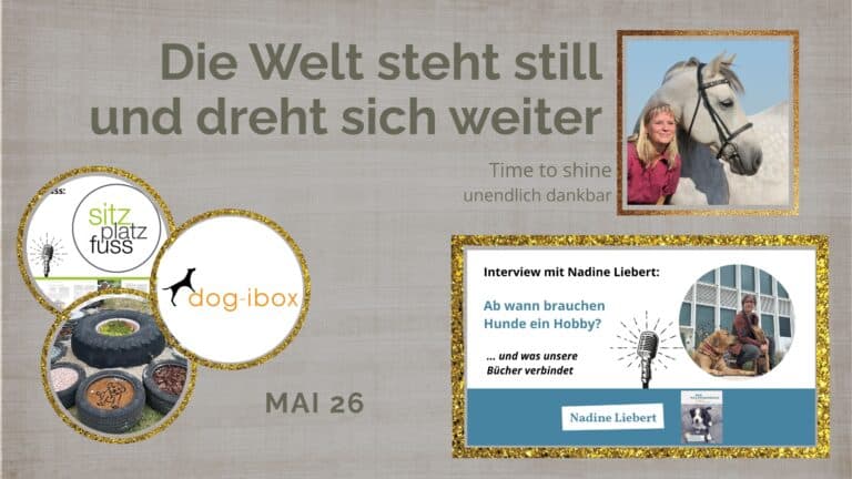 Monatsrückblick Mai 2026 mit dem Titel „Die Welt steht still und dreht sich weiter“. Collage mit Erinnerungsfoto von Astrid und ihrem Pferd Celestino sowie Highlights des Monats, darunter ein Podcast bei SitzPlatzFuss, ein Webinar für dog-ibox, ein Trainingsprojekt und ein Interview mit Nadine Liebert.