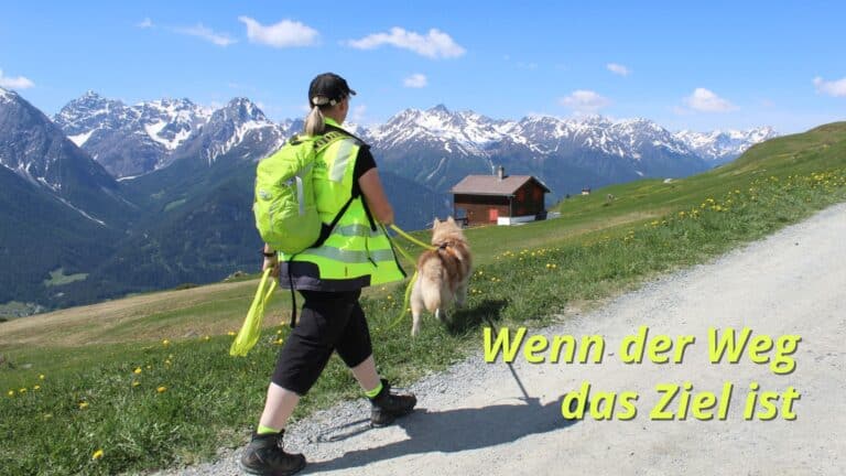 Eine Mantrailing-Trainerin geht mit einem Husky auf einem Bergweg in den Alpen. Im Bild steht der Schriftzug „Wenn der Weg das Ziel ist“.