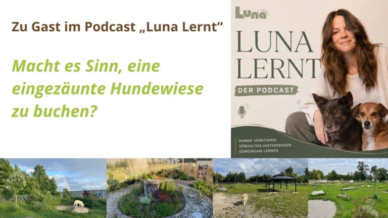 Titelbild zum Interview im Podcast „Luna lernt“ über die INNsider Hundewiese Ampfing mit Podcastcover und Bildern der Hundewiese.
