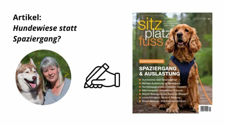 Titelbild zum Artikel „Hundewiese statt Spaziergang?“ von Astrid Sperlich. Links ein Porträt der Autorin mit ihrem Husky und ein Schreibhand-Symbol, rechts das Cover der SitzPlatzFuss-Sonderausgabe „Spaziergang & Auslastung“.