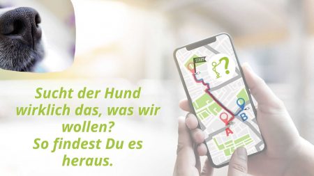 82-ueberpruefung