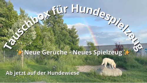 84 H Tauschbox Hundespielzeug