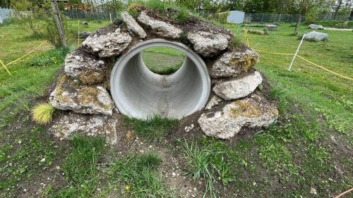 Es fängt an zu wachsen