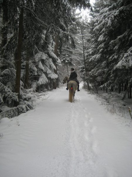 Glatzberg im Tiefschnee