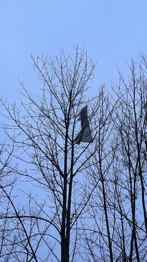 🌬️ Das Banner im Baum...