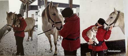 Calimero zieht ein 2012