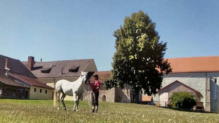 Adlersberg - der Start
