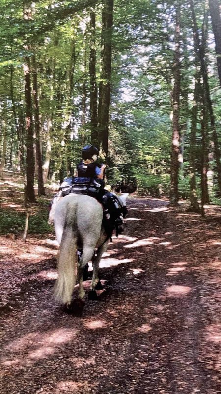 möglichst im Wald unterwegs