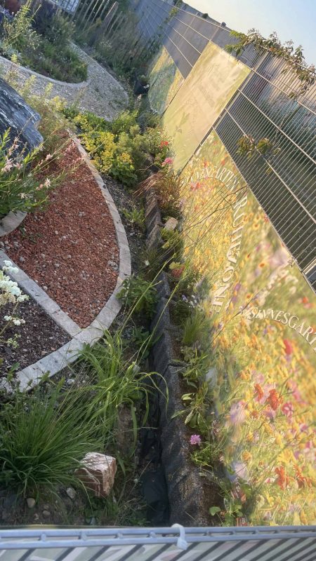 Sinnesgarten 6-26-7