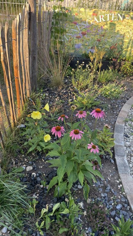 Sinnesgarten 6-26-6