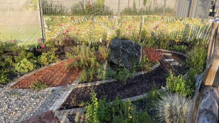 Sinnesgarten 6-26-1