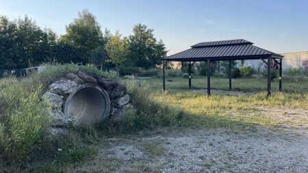 Hundewiese Ampfing Juni 26