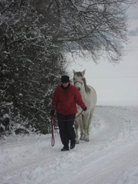 Winterspaziergänge