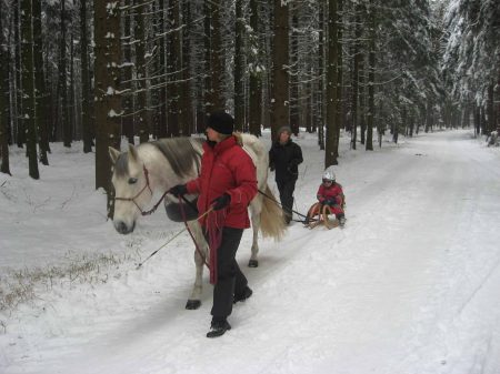 2010 Schlittenfahren mal anders
