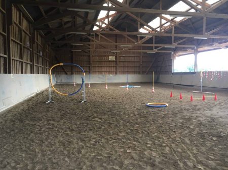 Horse Agility 2017
