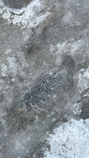 Geschlossene Eisdecke auf der Hundewiese Ampfing im Winter.