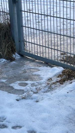 Vereister Boden am Eingang der Hundewiese Ampfing im Winter.