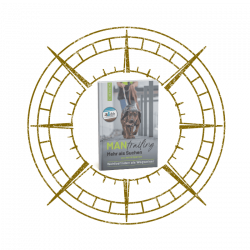 Kompass mit Buchmockup transparent