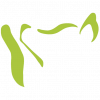 T Logo Hund solo grün