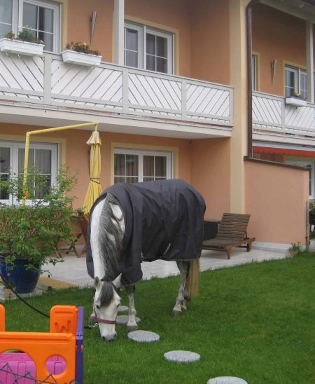 Ausflug in unseren Garten
