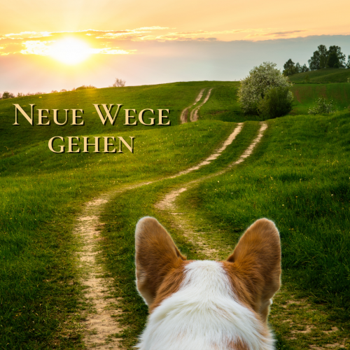 Neue Wege