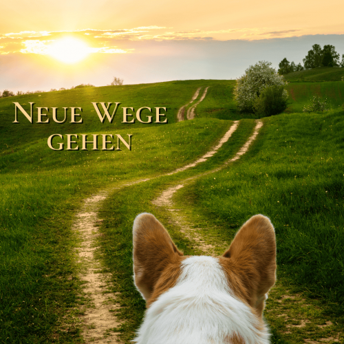 Neue Wege