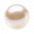 Perle