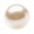 Perle